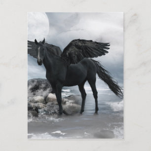 Carte Postale cheval noir Pegasus