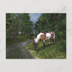 Carte Postale Cheval Paint par le ruisseau de la forêt