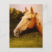 Cheval Palomino avec lame blanche