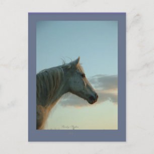 Carte postale Cheval, personnalisable 6