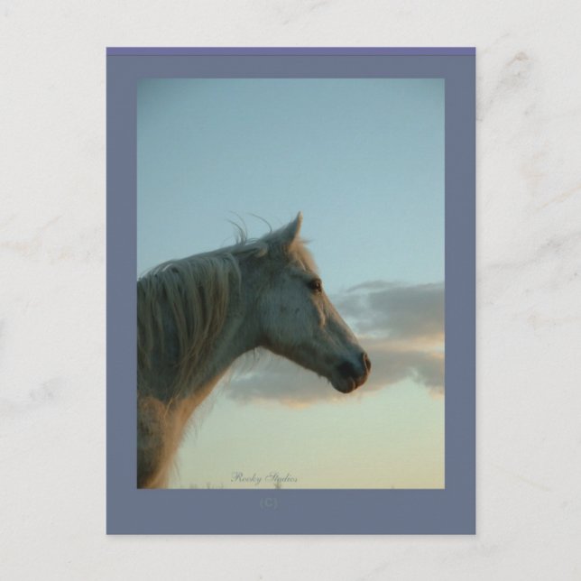 Carte postale Cheval, personnalisable 6 (Devant)