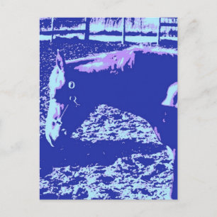 Carte Postale Cheval Pop Art