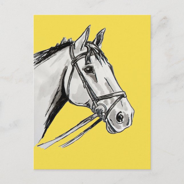 Carte Postale Cheval Portrait Encre et lavage (Devant)