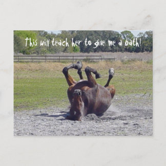 Carte postale Cheval Rolling