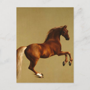 CARTE POSTALE CHEVAL ROUGE