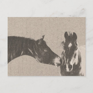 Carte Postale Cheval rustique
