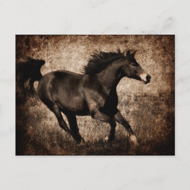 Carte Postale Cheval Rustique Sepia Galloping (Devant)