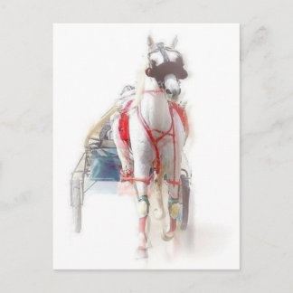 Carte Postale Cheval standard