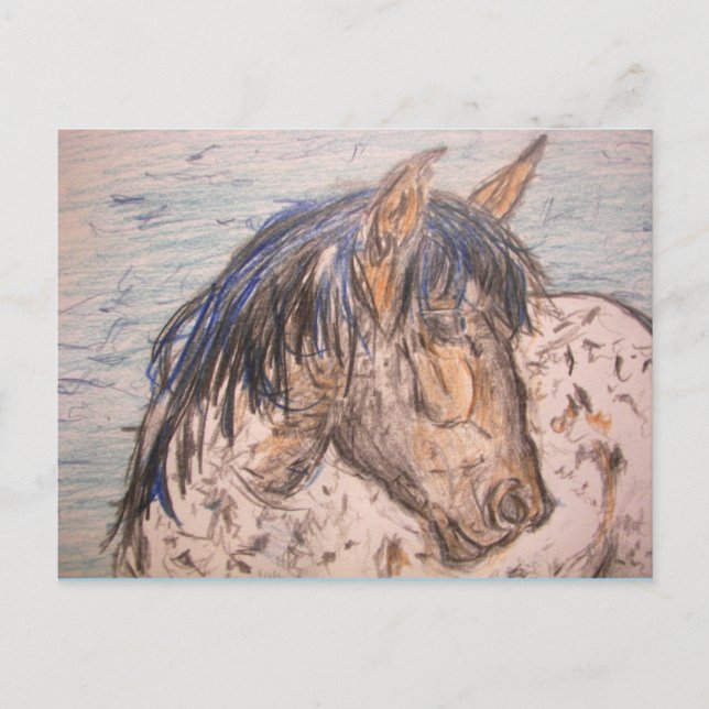 Carte Postale Cheval tacheté esprit sauvage (Devant)