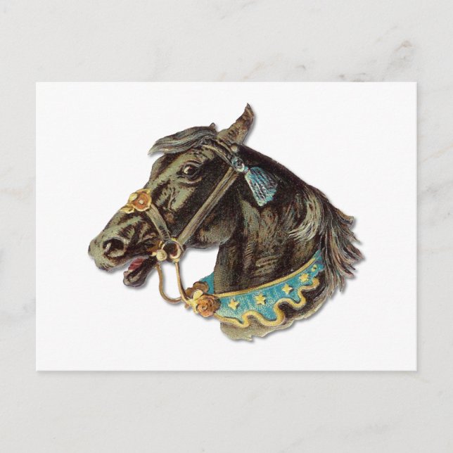 Carte Postale Cheval victorien (Devant)