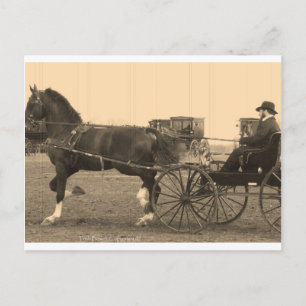 Carte Postale Cheval vintage et transport en Sepia