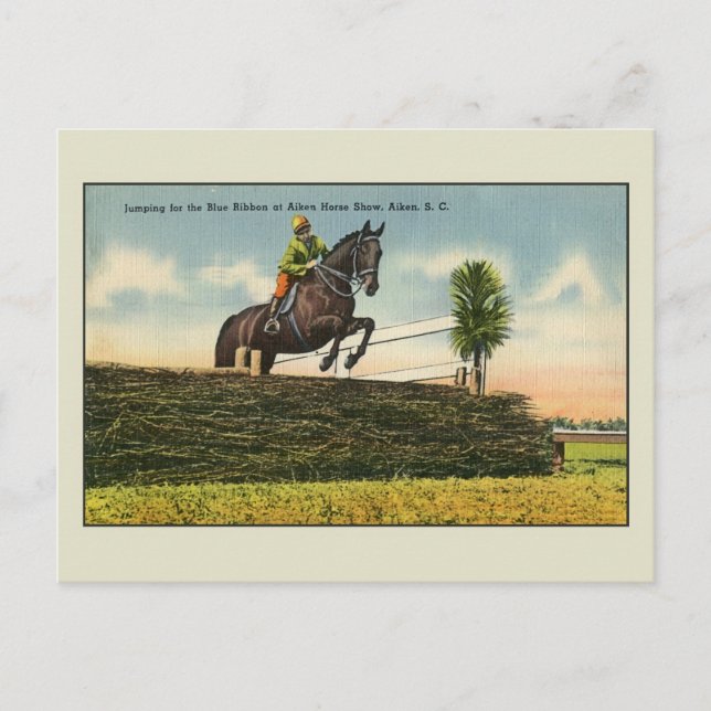 Carte Postale Cheval vintage Saut Aikin SC (Devant)
