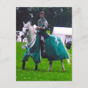 Carte Postale chevalier