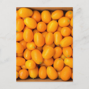 Carte Postale Chevalier orange kumquats en carton