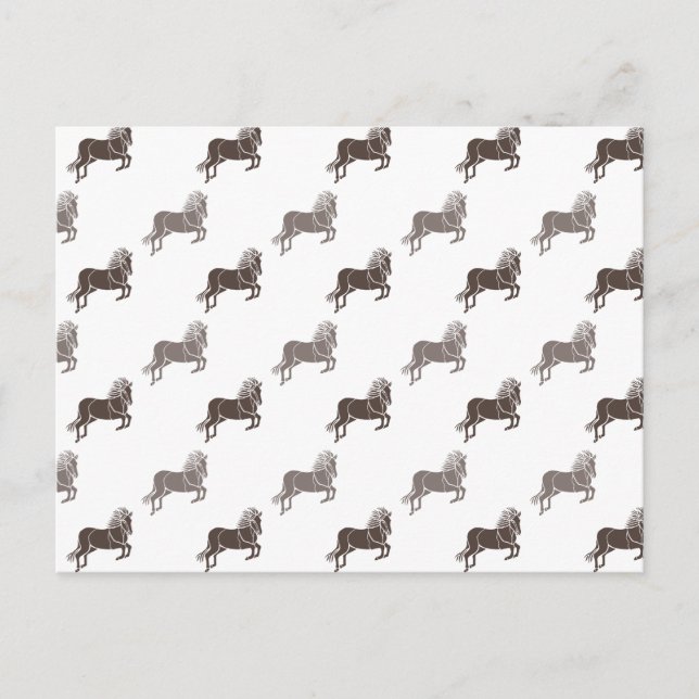 Carte Postale Chevaux (Devant)