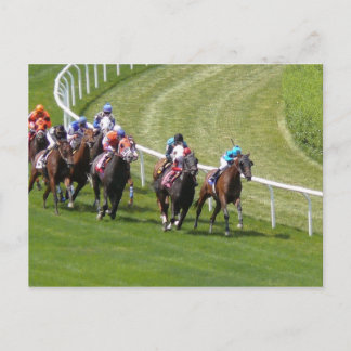 Carte Postale Chevaux