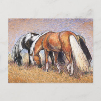 Carte Postale Chevaux