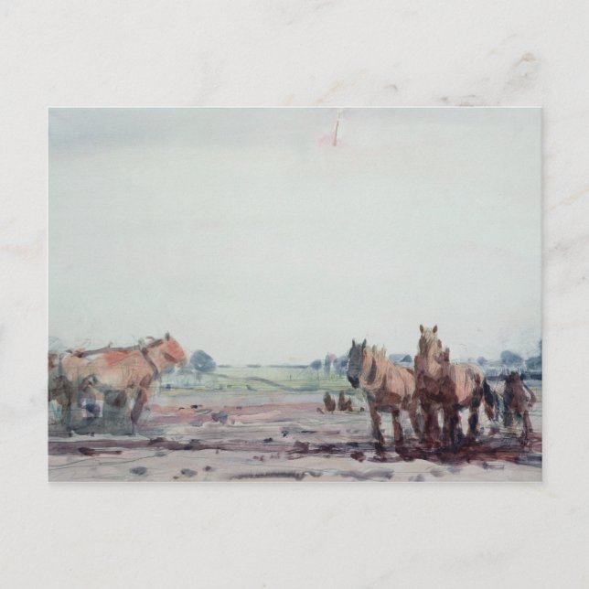 Carte Postale Chevaux à poils (Devant)