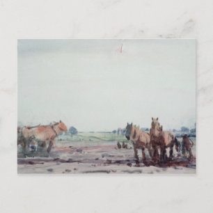 Carte Postale Chevaux à poils