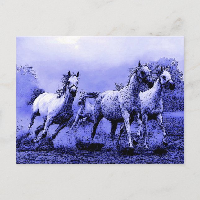 Carte Postale Chevaux au galop et clair de lune bleu (Devant)