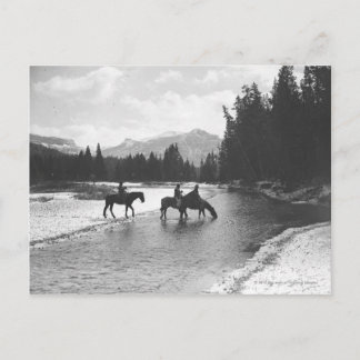 Carte Postale Chevaux buvant et traversant une rivière