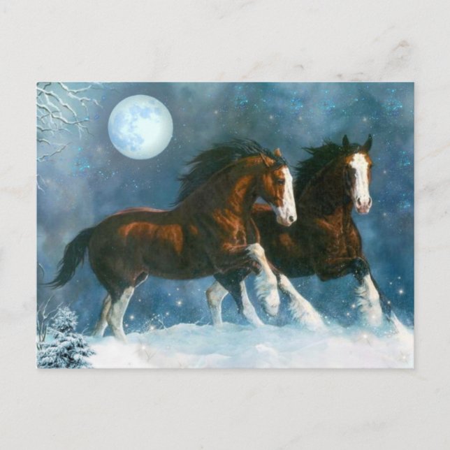 Carte Postale Chevaux Courant Dans La Neige (Devant)