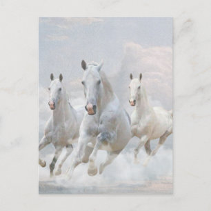Carte Postale Chevaux dans les nuages