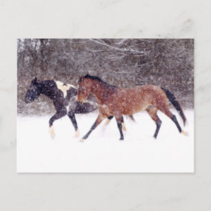 Carte Postale Chevaux dans une grange sous la neige d'hiver