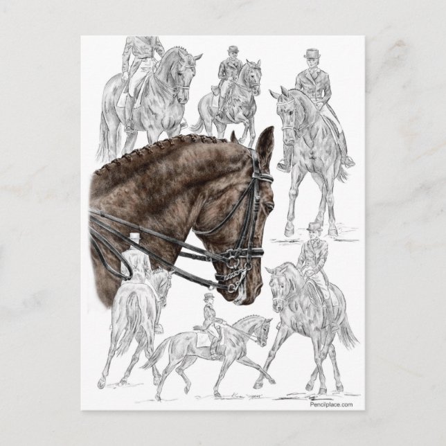 Carte Postale Chevaux de contrainte collectés FEI (Devant)