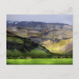 Carte Postale Chevaux de course Islande