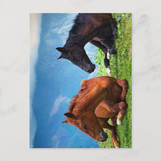 Carte Postale Chevaux de Moody Mountain : Un voyage d'art raffin