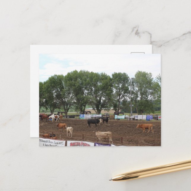 Carte Postale Chevaux de rodéo et taureaux (Devant/Arrière en situation)