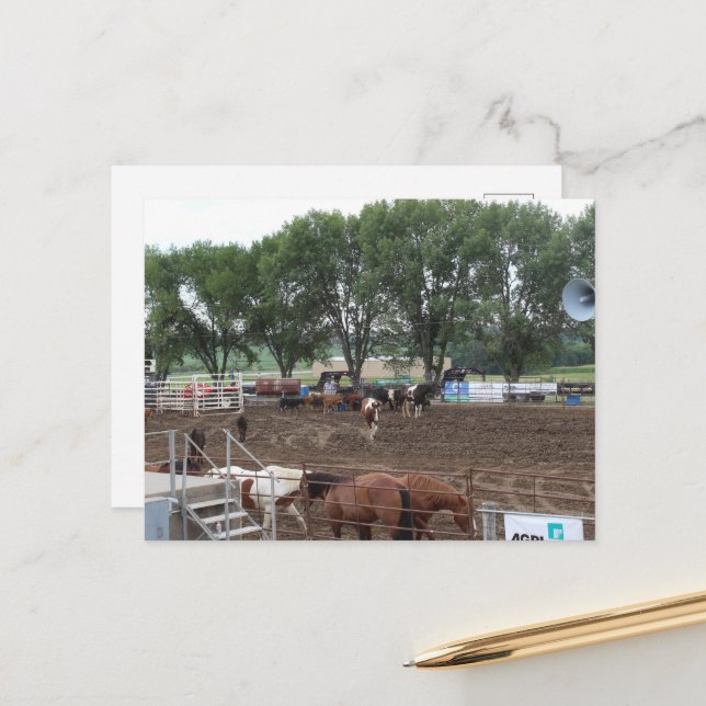 Carte Postale Chevaux de rodéo et taureaux (Devant/Arrière en situation)