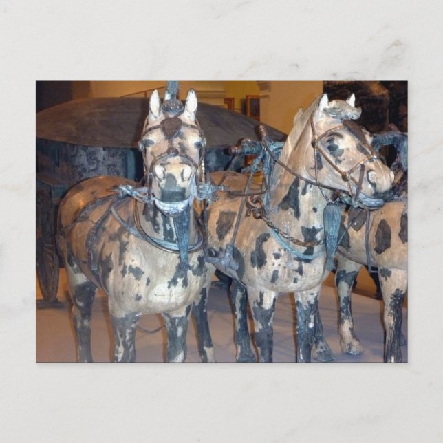 Carte Postale chevaux de xi'an (Devant)