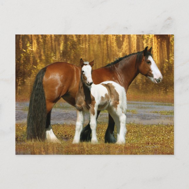 Carte Postale Chevaux d'Imaginaire : Mare & Foal (Devant)