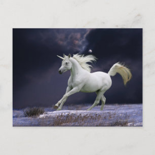 Carte Postale Chevaux d'Imaginaire : Unicorne