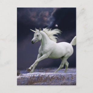 Carte Postale Chevaux d'Imaginaire : Unicorne