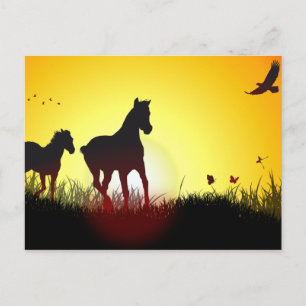 Carte Postale chevaux du matin