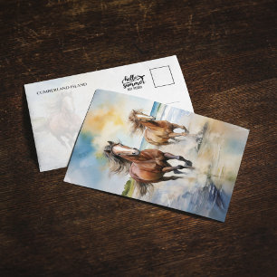 Carte postale Chevaux du parc national de l'île Cu