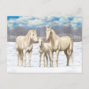 Carte Postale Chevaux Du Quartier Blanc En Neige