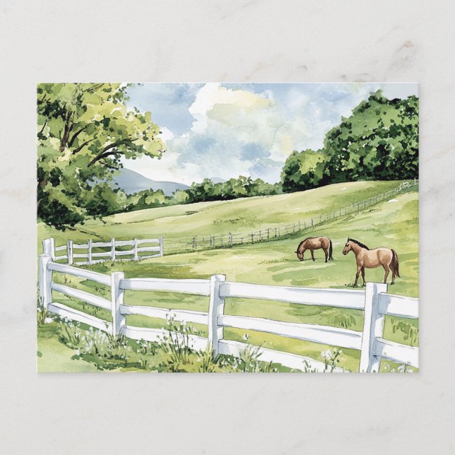 Carte Postale Chevaux du Ranch Green Pastures (Devant)