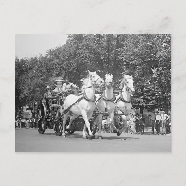 Carte Postale Chevaux du service d'incendie, 1925 (Devant)