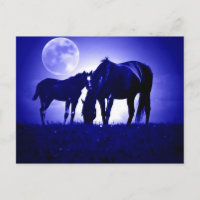 Chevaux en Nuit Bleue