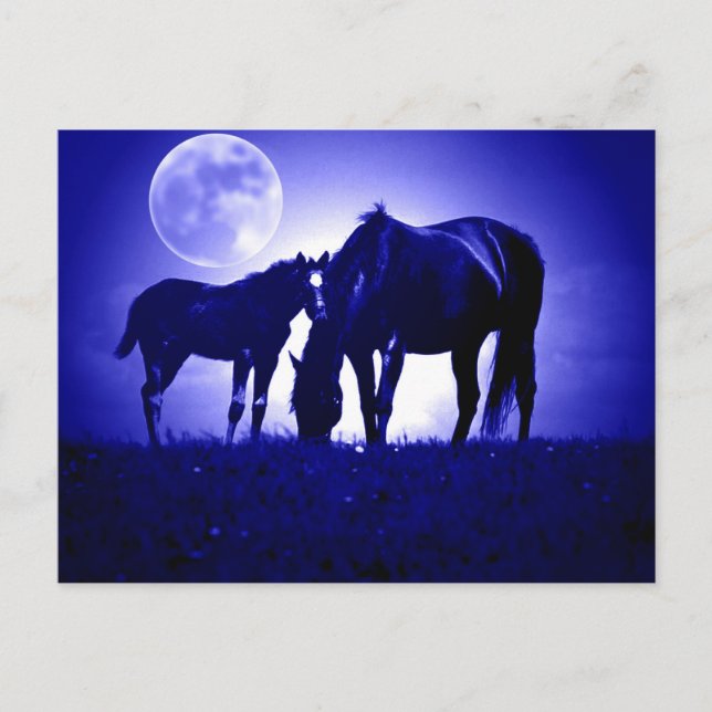 Carte Postale Chevaux en Nuit Bleue (Devant)