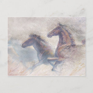 Carte Postale Chevaux En Stampede