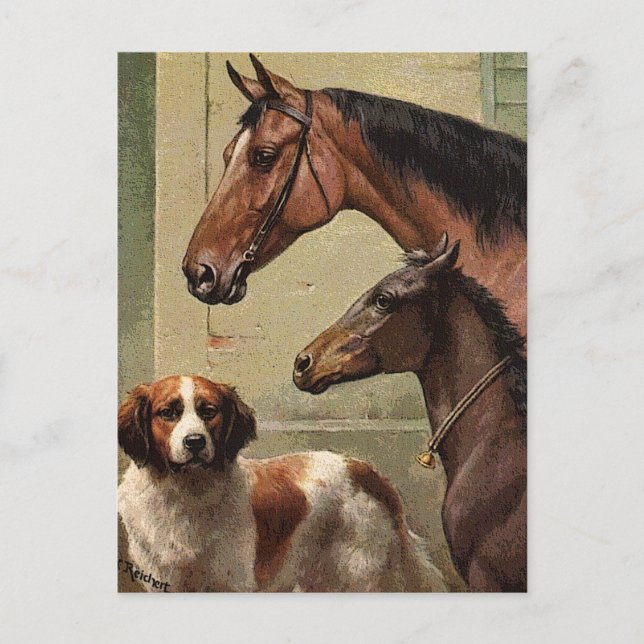 Carte Postale Chevaux et St Bernard Art Vintage (Devant)