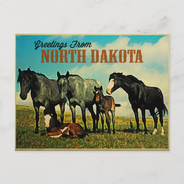 Carte Postale Chevaux Nokota du Dakota du Nord (Devant)