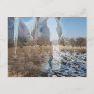 Carte Postale Chevaux Salutation hivernale