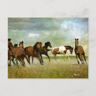Carte Postale Chevaux Sauvages en Liberté - Art Créatif Vintage