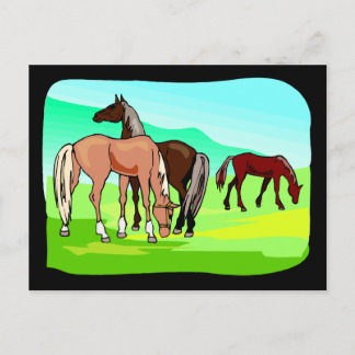 Carte Postale Chevaux sauvages mangeant un champ d'herbe pâturag